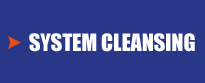 System Cleansing